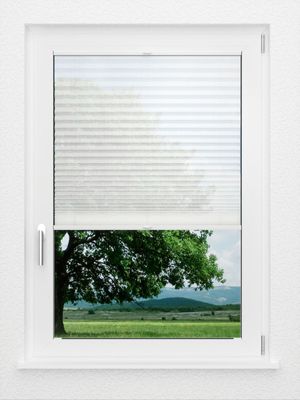 Preview LYSEL HOME Plissee 118A Calluna 1