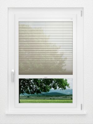 Preview LYSEL HOME Plissee 110A Calluna 1