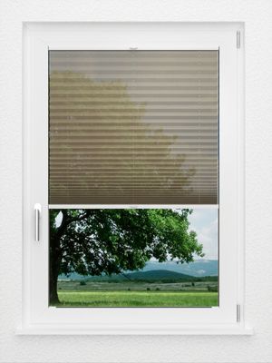 Preview LYSEL HOME Plissee 111A Calluna 1