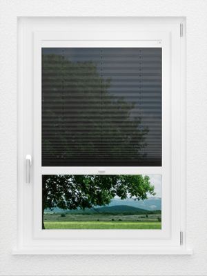 Preview LYSEL HOME Plissee 139A Calluna 1