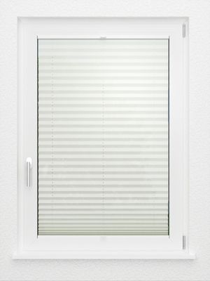 Preview LYSEL HOME Plissee 303A Arabis 2