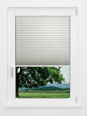 Preview LYSEL HOME Plissee 305A Arabis 1