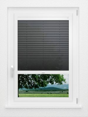 Preview LYSEL HOME Plissee 306A Arabis 1