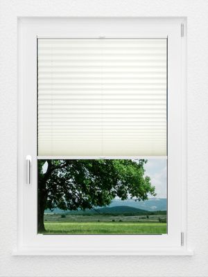 Preview LYSEL HOME Plissee 307A Aloe 1
