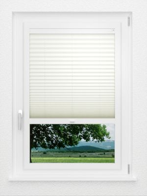Preview LYSEL HOME Plissee 307A Aloe 1