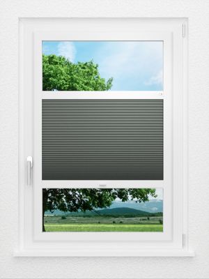 Preview LYSEL HOME Plissee 039A Alba LI Wabe 0