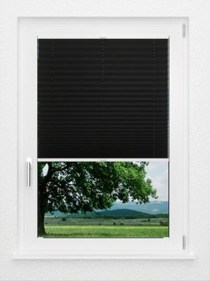 Preview LYSEL HOME Plissee 238B Aralia BO 1