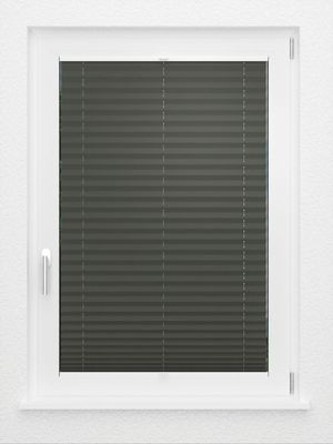 Preview LYSEL HOME Plissee 202B Aralia BO 2