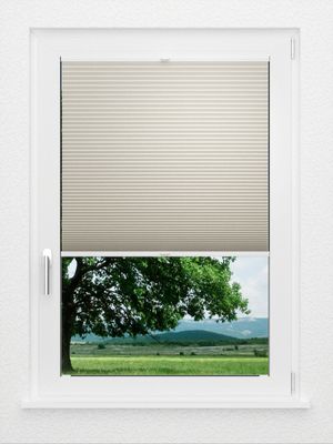 Preview LYSEL HOME Plissee 009A Calluna Wabe 1