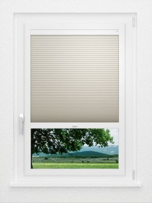 Preview LYSEL HOME Plissee 009A Calluna Wabe 1