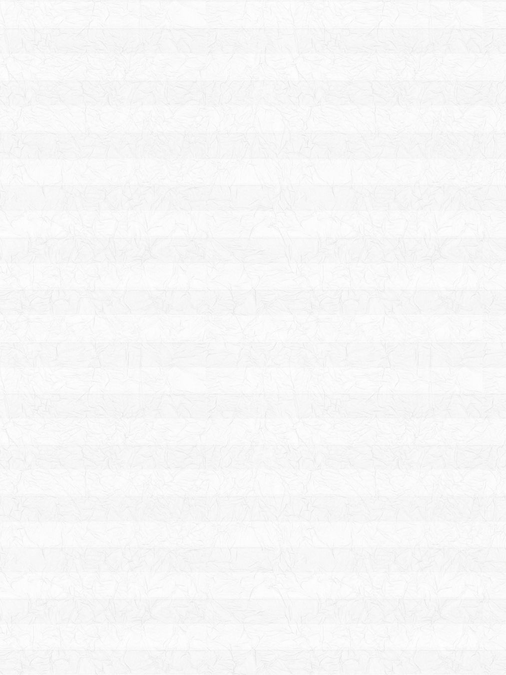 Detailansicht LYSEL HOME Plissee 104A Erinus