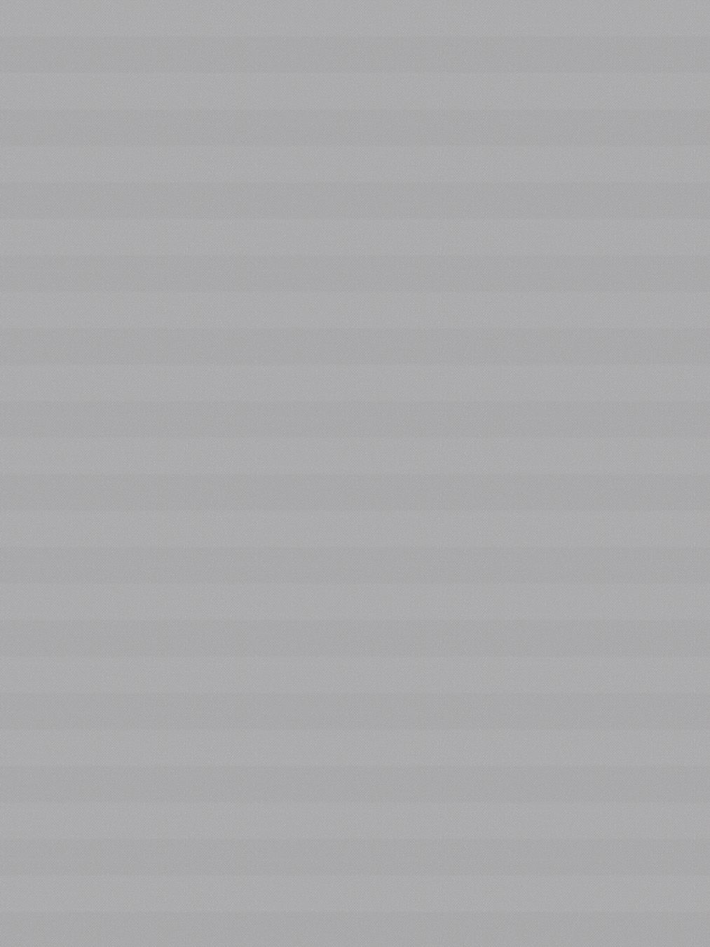 Detailansicht LYSEL HOME Plissee 214A Inula Pearl