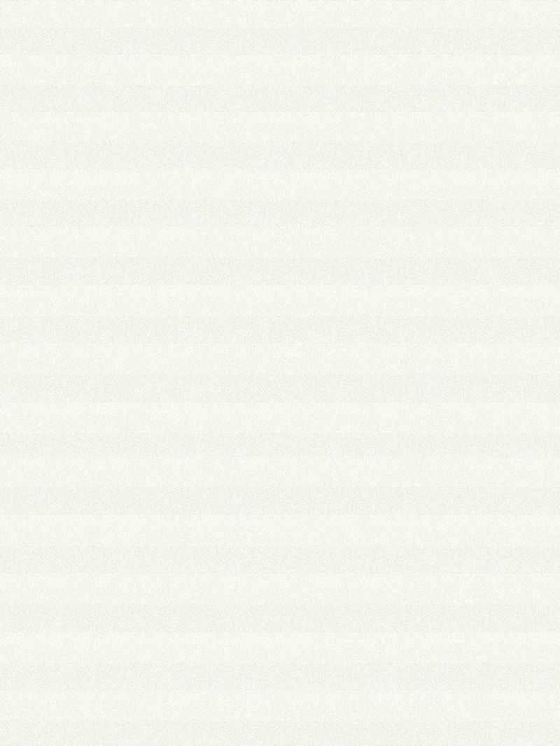 Preview LYSEL HOME Plissee 132A Aralia 3