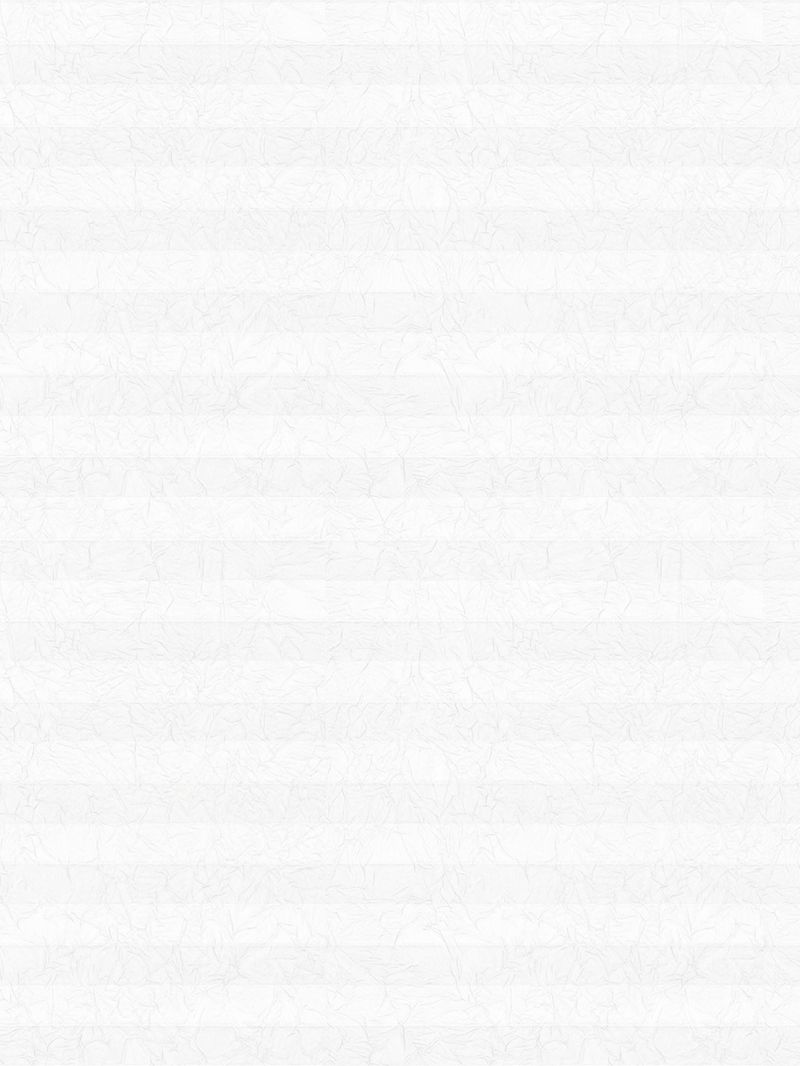 Preview LYSEL HOME Plissee 104A Erinus 3