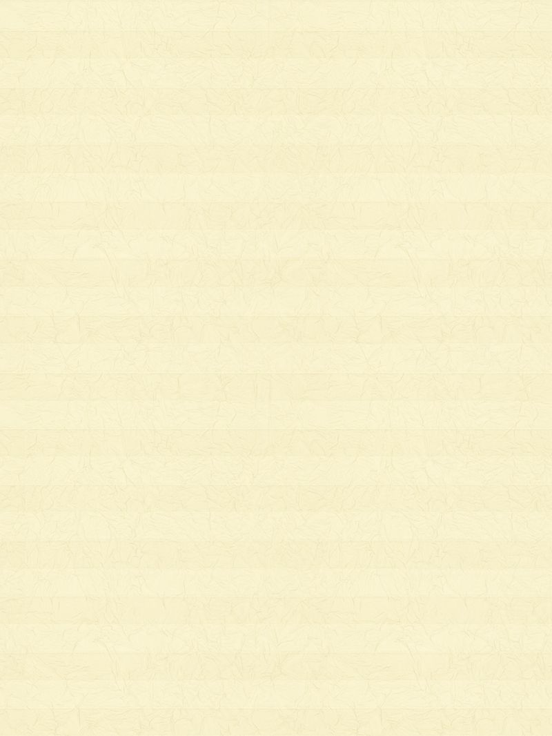 Preview LYSEL HOME Plissee 107A Erinus 3