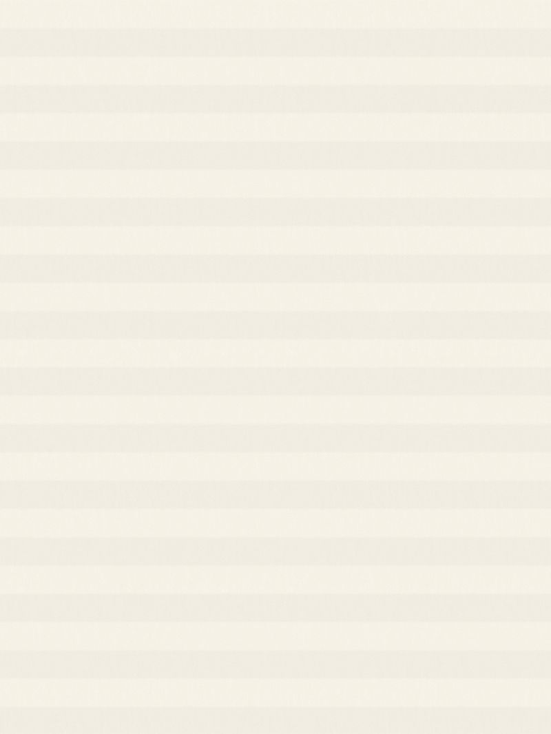 Preview LYSEL HOME Plissee 227A Arum 3