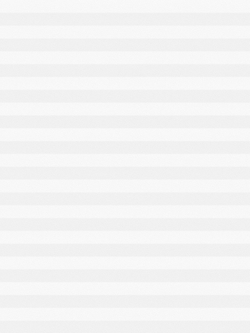 Preview LYSEL HOME Plissee 209B Aralia Pearl 3