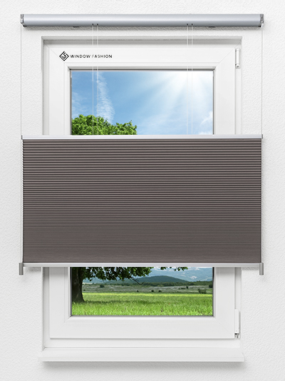 Wabe Shade Comb 8071.5057 Fensteransicht