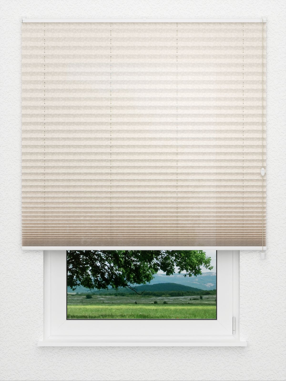 Detailansicht Plissee Tendrils 5202.1520