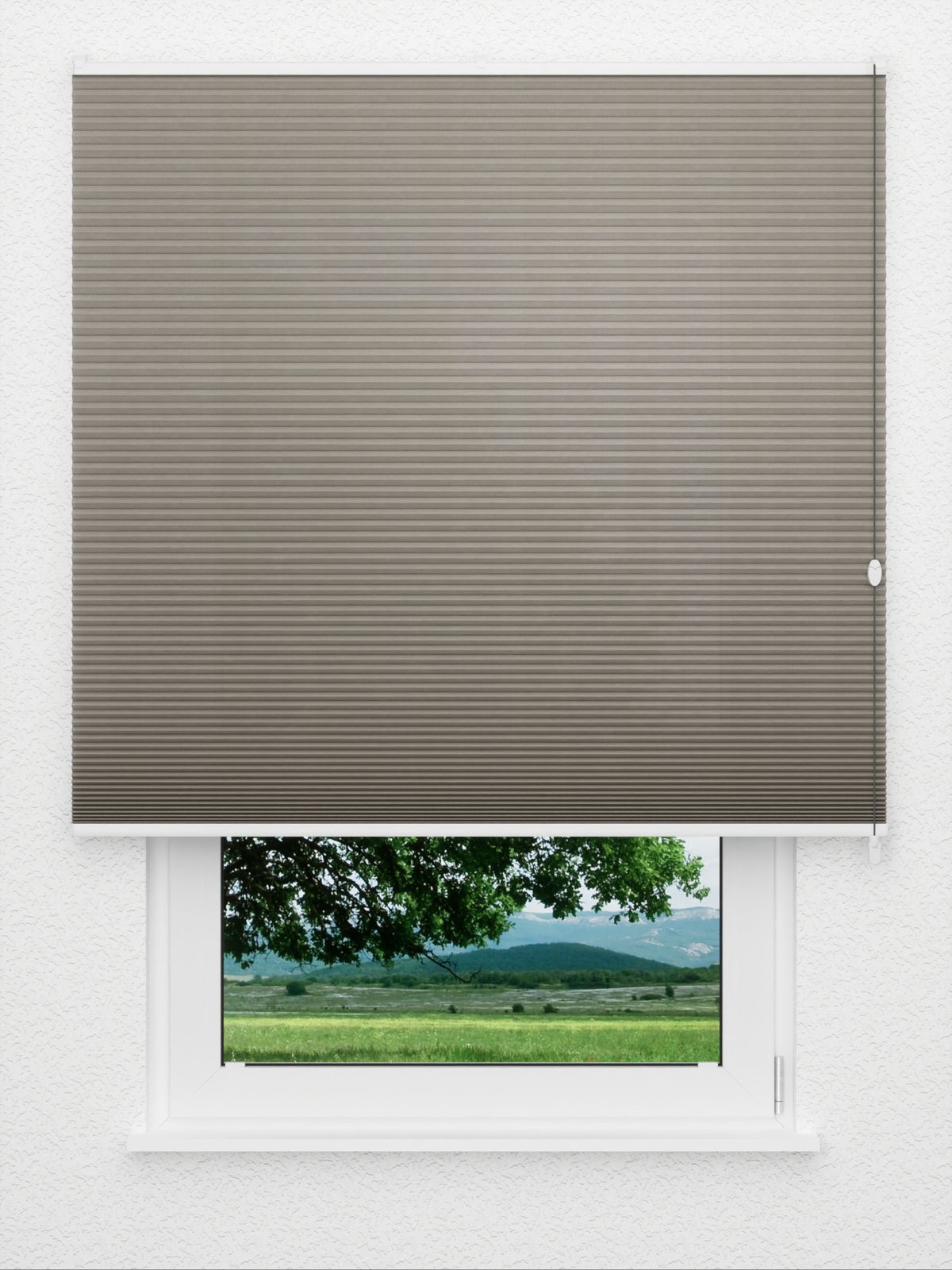 Detailansicht Bumby Comb LI 3402.3582