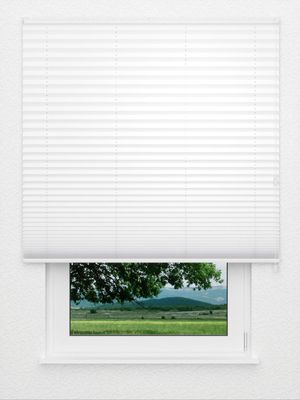Plissee Blackout BO 01.0101 Fensteransicht