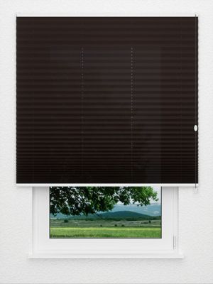 Plissee Krepp B1 05.0106 Fensteransicht