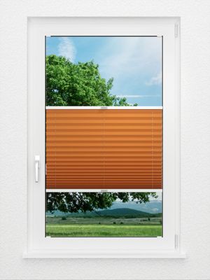 Preview Plissee Krepp B1 22.0201 1