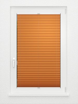 Preview Plissee Krepp B1 22.0201 3