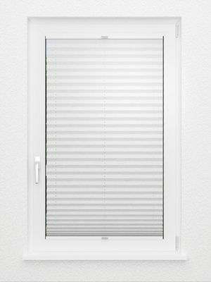 Preview Plissee Crush 01.0202 3