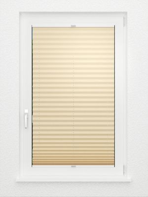 Preview Plissee Krepp B1 19.0302 3