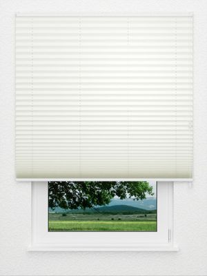 Plissee Krepp B1 17.0303 Fensteransicht