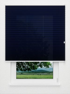 Plissee Krepp B1 24.0402 Fensteransicht