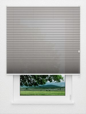 Plissee Kreppa 1309.0455 Fensteransicht