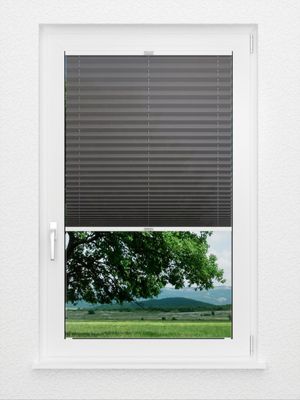 Preview Plissee Krepp B1 30.0406 2