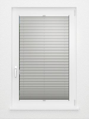 Preview Plissee Krepp Perl B1 06.0503 3