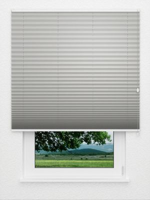 Plissee Krepp Perl B1 06.0503 Fensteransicht