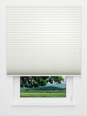 Plissee Krepp Perl B1 01.0504 Fensteransicht