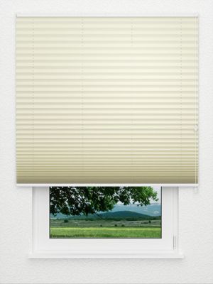 Plissee Krepp Perl B1 02.0508 Fensteransicht