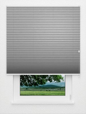 Plissee Crush 3109.3570 Fensteransicht