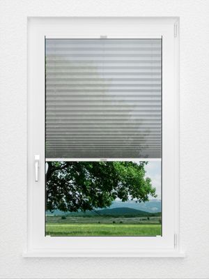 Preview Plissee Toccata B1 2181.5024 2