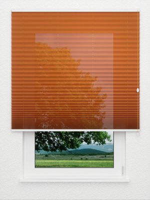 Plissee Toccata B1 2130.5026 Fensteransicht