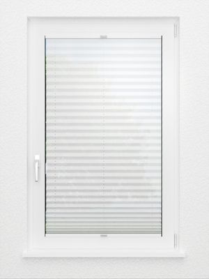 Preview Plissee Toccata B1 2100.5028 3