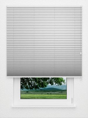 Plissee Maestoso 2280.5049 Fensteransicht