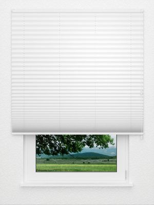 Plissee Naturale 3600.4105 Fensteransicht