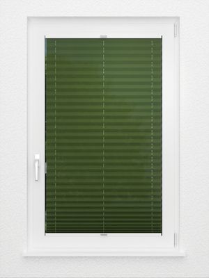 Preview Plissee Naturale 6606.9453 3