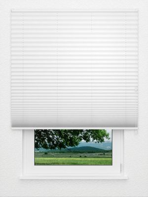 Plissee Seguidilla 3400.1818 Fensteransicht