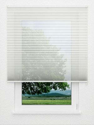 Plissee Appasionato 1300.3105 Fensteransicht