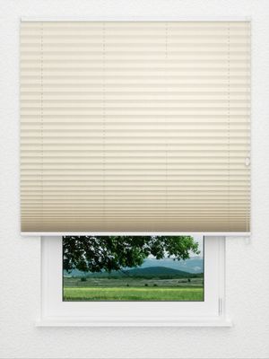 Plissee Concept Night 4510.1602 Fensteransicht