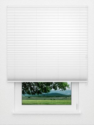 Plissee BrilliantNight 4000.1604 Fensteransicht