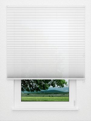 Plissee Arco Screen 2301.0820 Fensteransicht